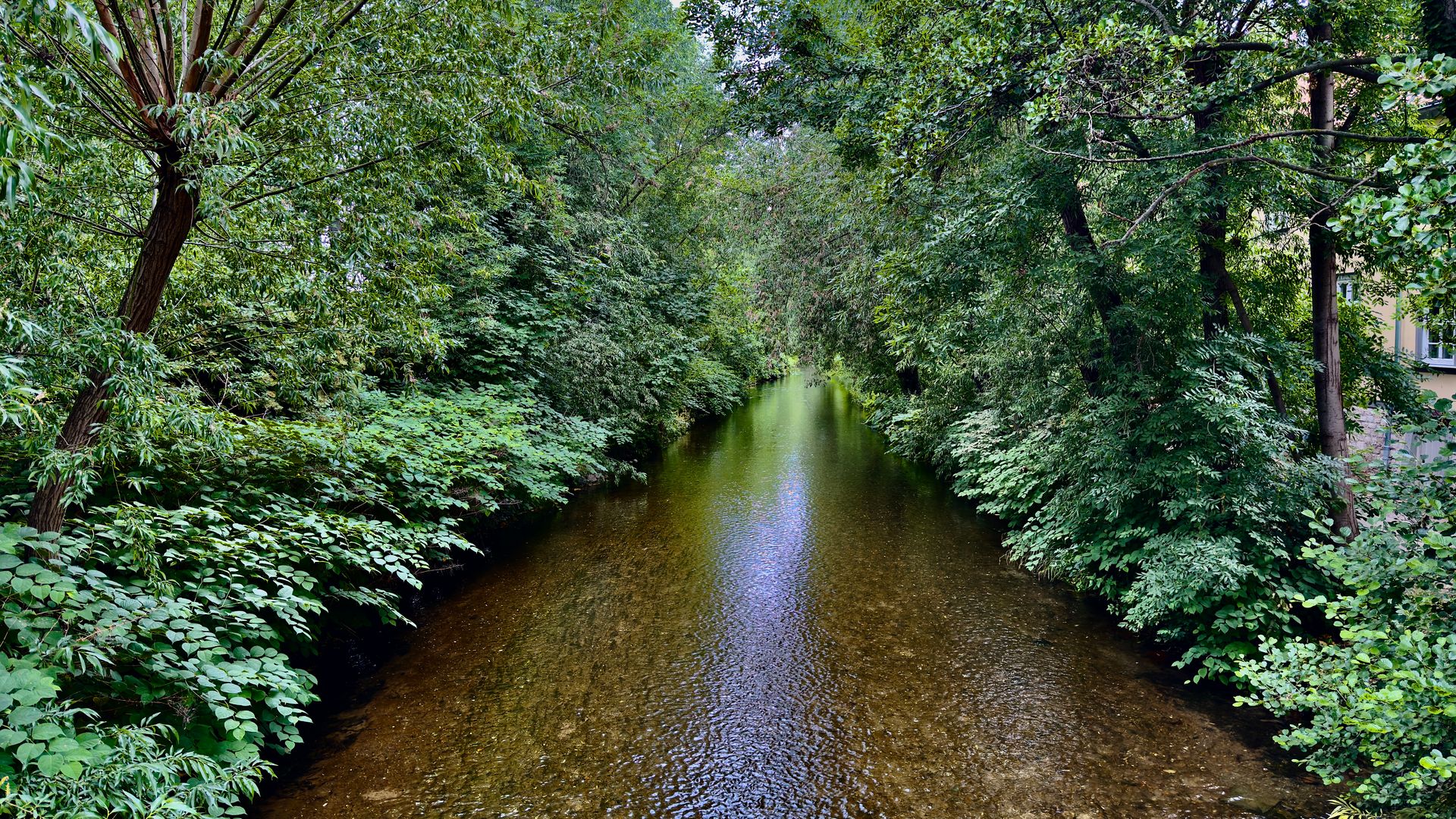 The River Gera flowing through Erfurt.
